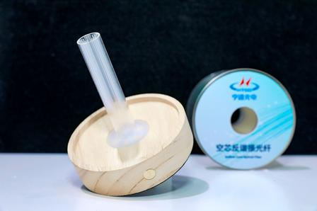 Anti-resonant Hollow-core Fiber
